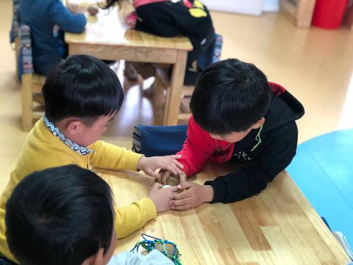 归巢游戏下载安装：帮助小鸟护蛋回家，快来挑战！