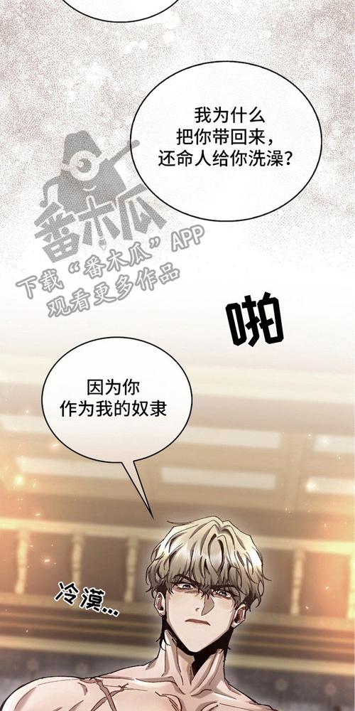 权力的代价官网攻略大全:助你称霸权力的游戏世界