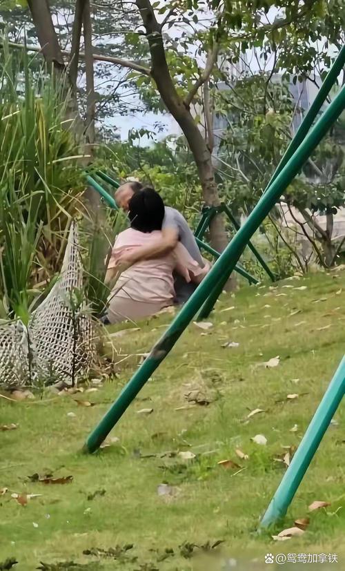 激情公园下载地址大全：超全资源合集，快速下载