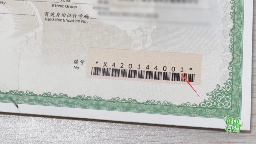 你弟弟喜欢玩的游戏,出生证明能暗示吗?