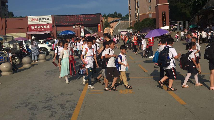 志愿少女游戏官网：探索志愿服务新玩法，成就你的游戏梦想