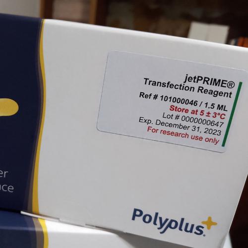 SiliconLust更新地址：最新官网入口分享