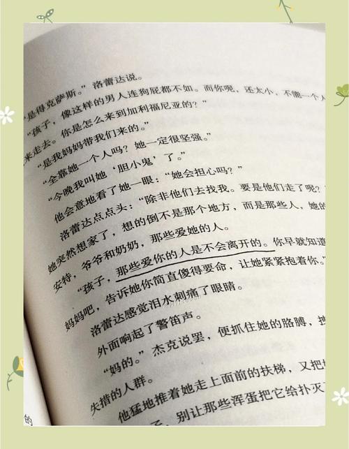 勇气之爱官方网站详解:揭秘勇气之爱的故事与意义