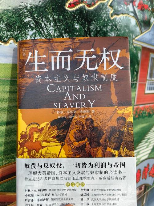 急需奴隶之书下载地址：快速下载的途径有哪些？