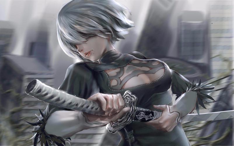 高品质尼尔机械纪元2K剪辑精品，游戏官网资源免费获取