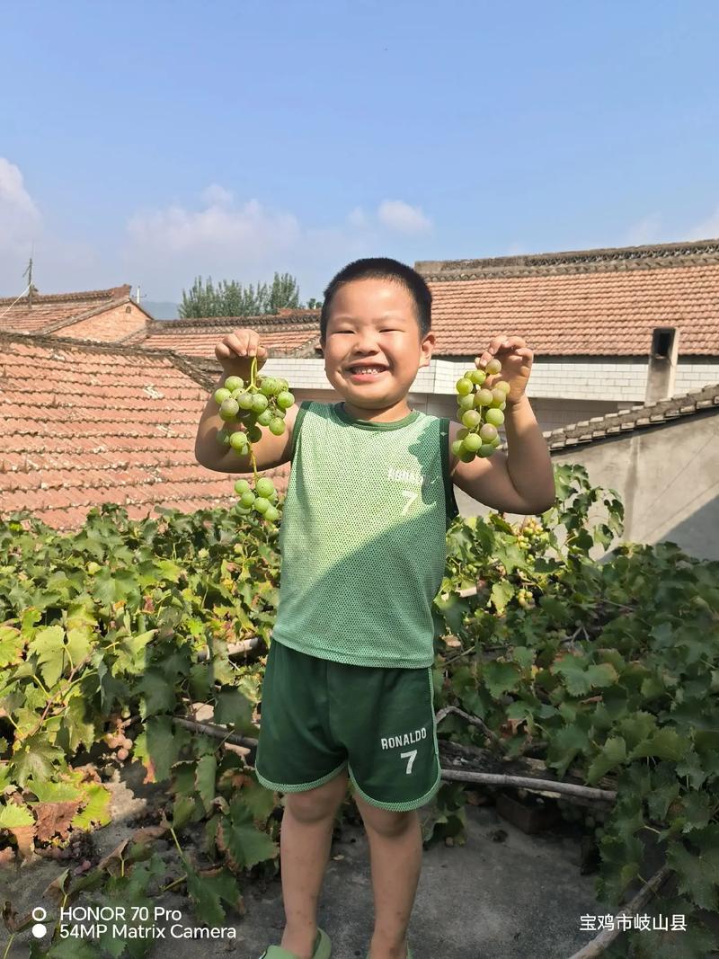 乡村生活的快乐暑假汉化版下载：感受不一样的暑假生活