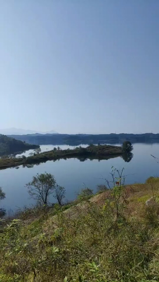 简单的日子最新版本来了,快来体验纯净音乐