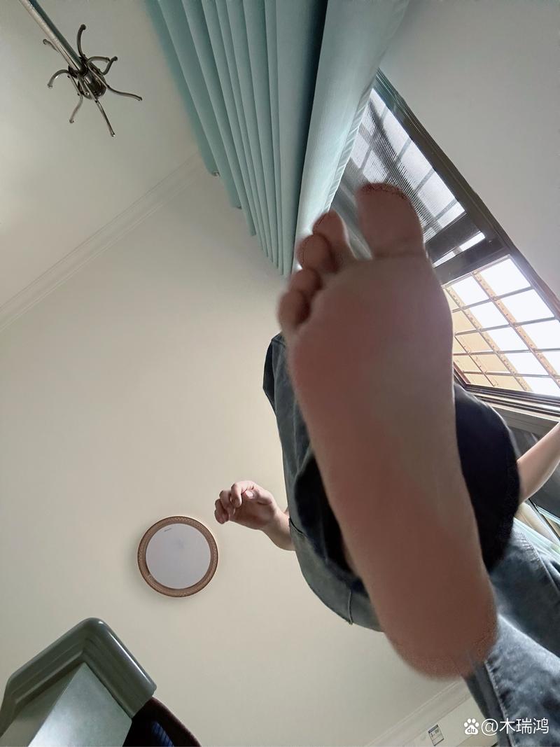 脚下的正常生活1V1.41最新版本在哪下载?安全可靠吗?