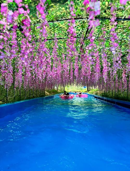 一键下载尾行4安卓版：畅玩刺激冒险之旅