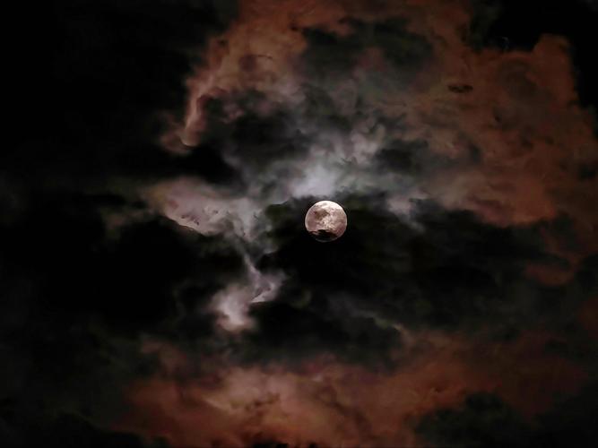 想玩失落的月亮？这里有你想要的全部版本！