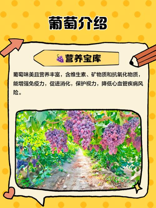 葡萄成熟时游戏攻略：轻松解锁隐藏成就