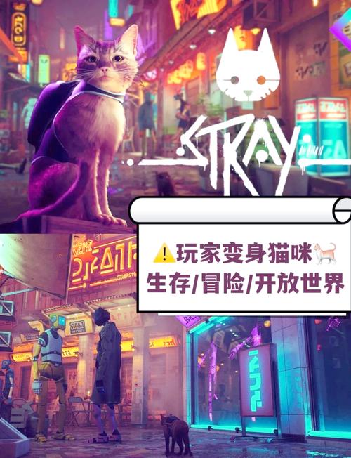 喵喵岛3官网正式上线:一起开启猫咪冒险