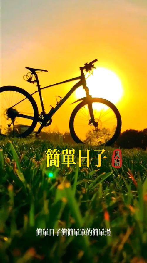 简单的日子最新版本来了,快来体验纯净音乐