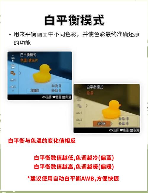 导演请拍摄各种各样的我下载方法，简单快速，轻松上手！