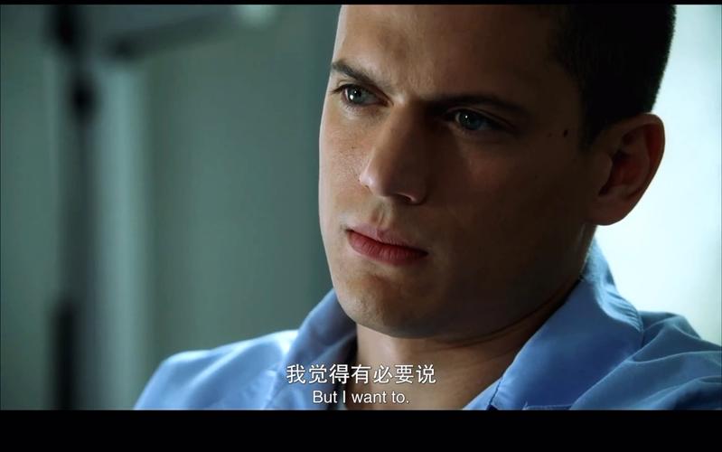 寻找监护人守护者米勒版本：资源合集及下载方法