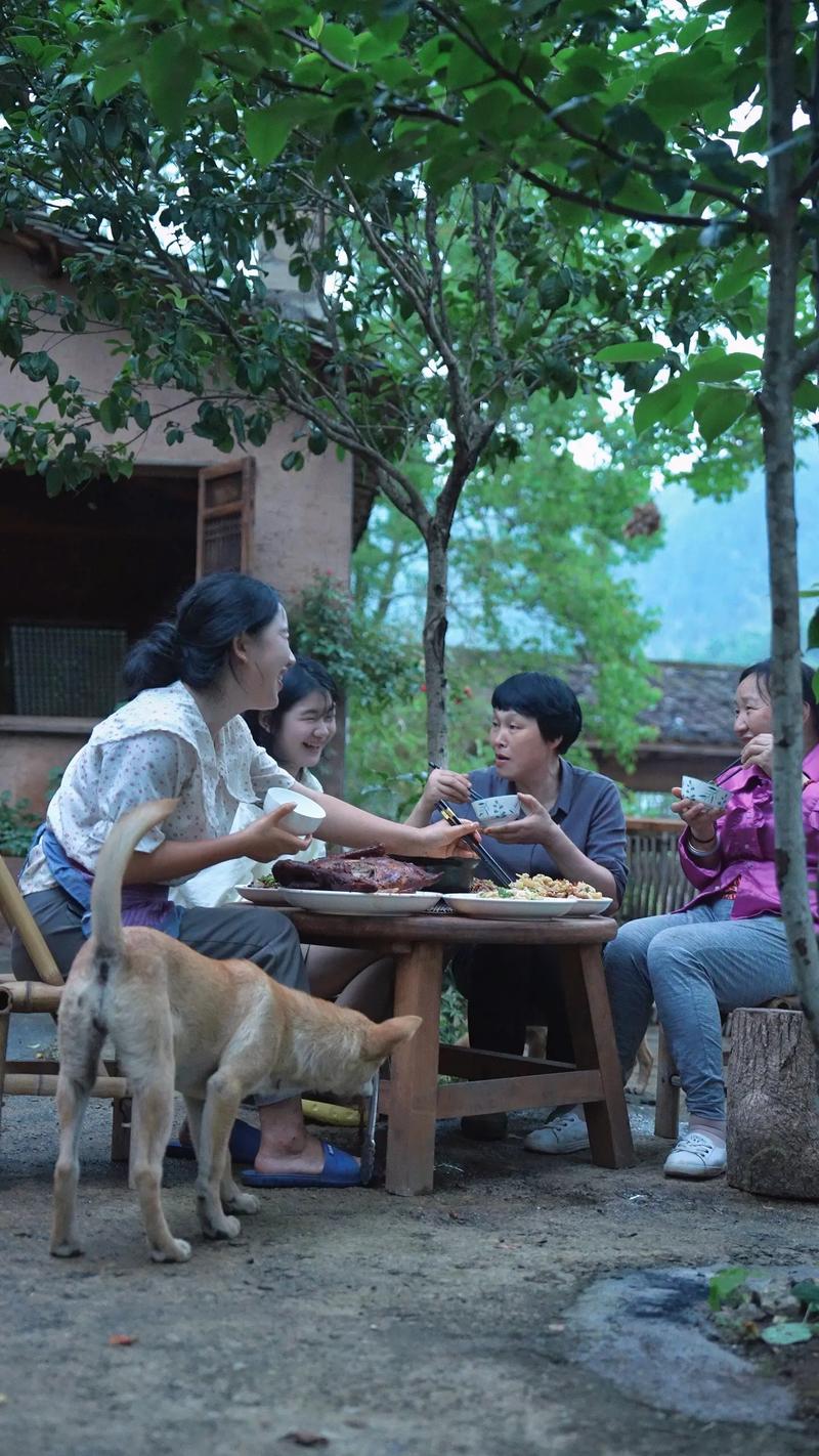 想玩乡下生活,哪个版本是最新最完整的?