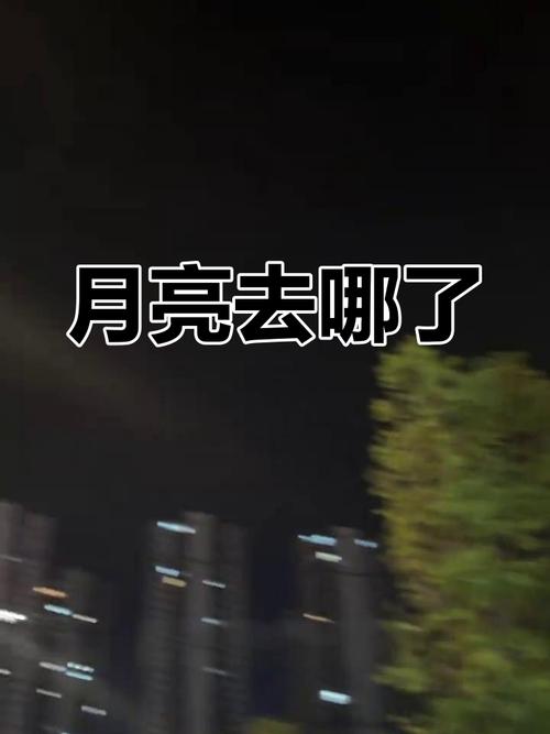 想玩失落的月亮？这里有你想要的全部版本！