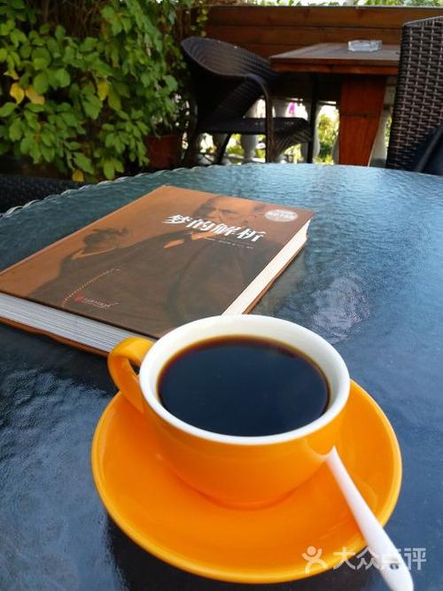 解锁海阁秘密：舒适咖啡馆模拟经营游戏深度介绍！