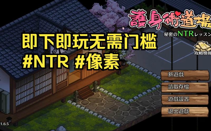 还在找NTR课程下载？这里提供最全的下载资源