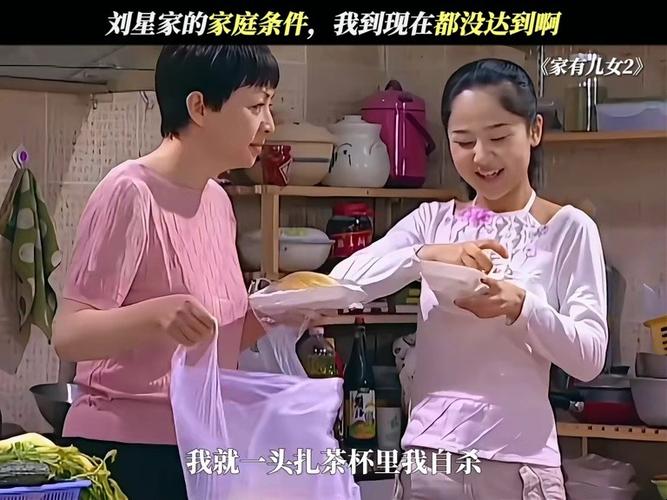 家有儿女2安卓汉化完结版下载,满满童年回忆!