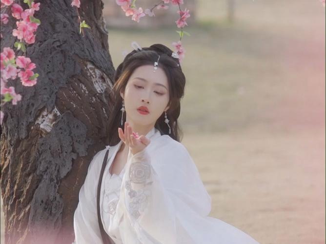 想玩重生之我在古代遇佳人?教你快速安全下载!