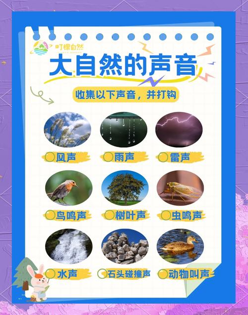 我声音的颜色最新资讯：声音的色彩与情感表达