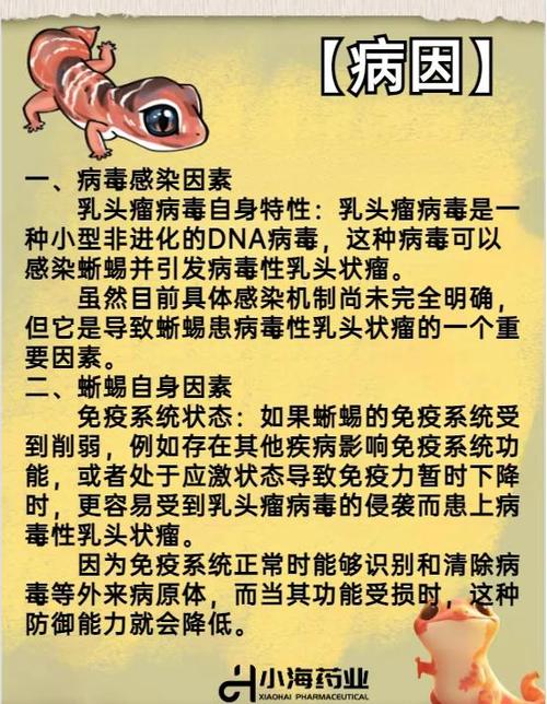 变异区最新进展：关于病毒变异的权威解读