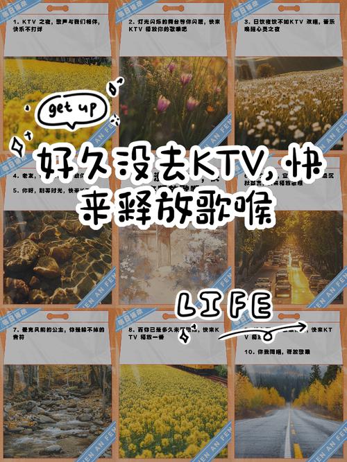 简单的日子最新版本来了,快来体验纯净音乐