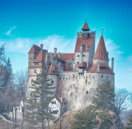 瓦尼亚的城堡官网是哪个？最新官方动态一手掌握！