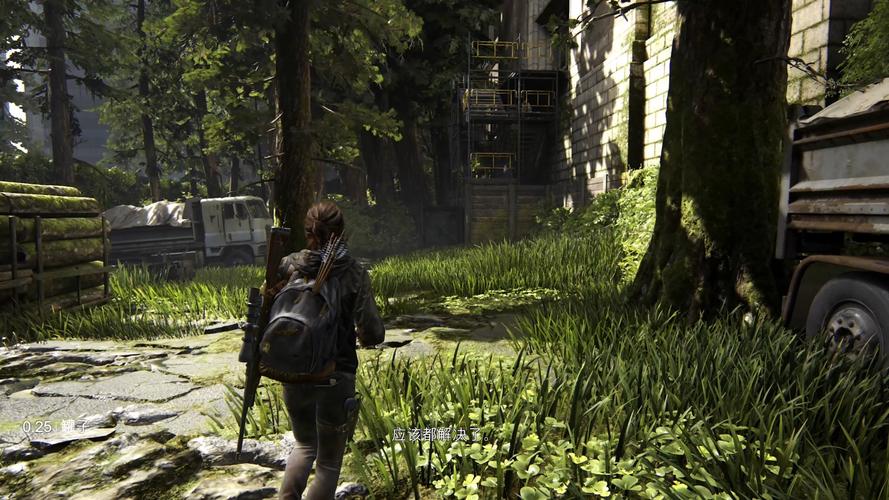 最后的生还者2更新地址：最新版本下载及安装教程
