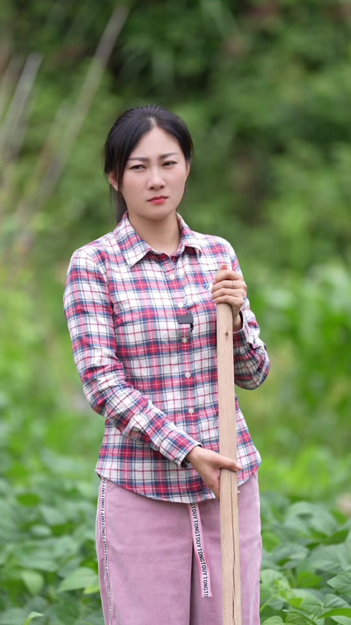 想玩乡下生活,哪个版本是最新最完整的?