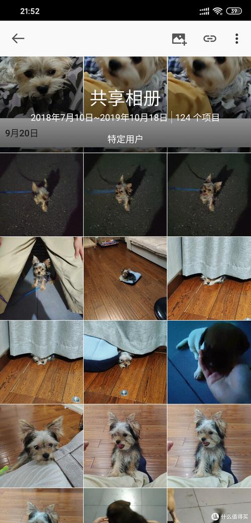 生化危机春汉化版下载教程:小白也能轻松上手