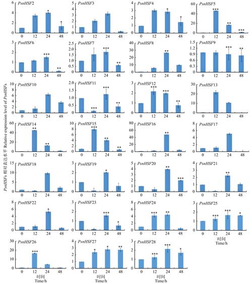 安全下载胁迫COERCION官方正式版：体验最新功能