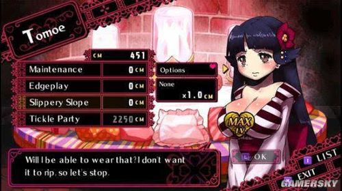 拯救世界是善是恶?玩转绅士游戏找答案