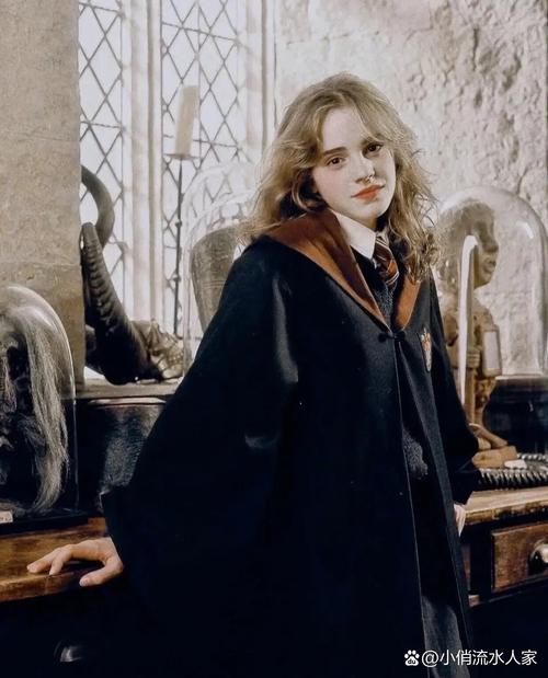 教育赫敏V1.46魔改版下载：最新正式版资源分享