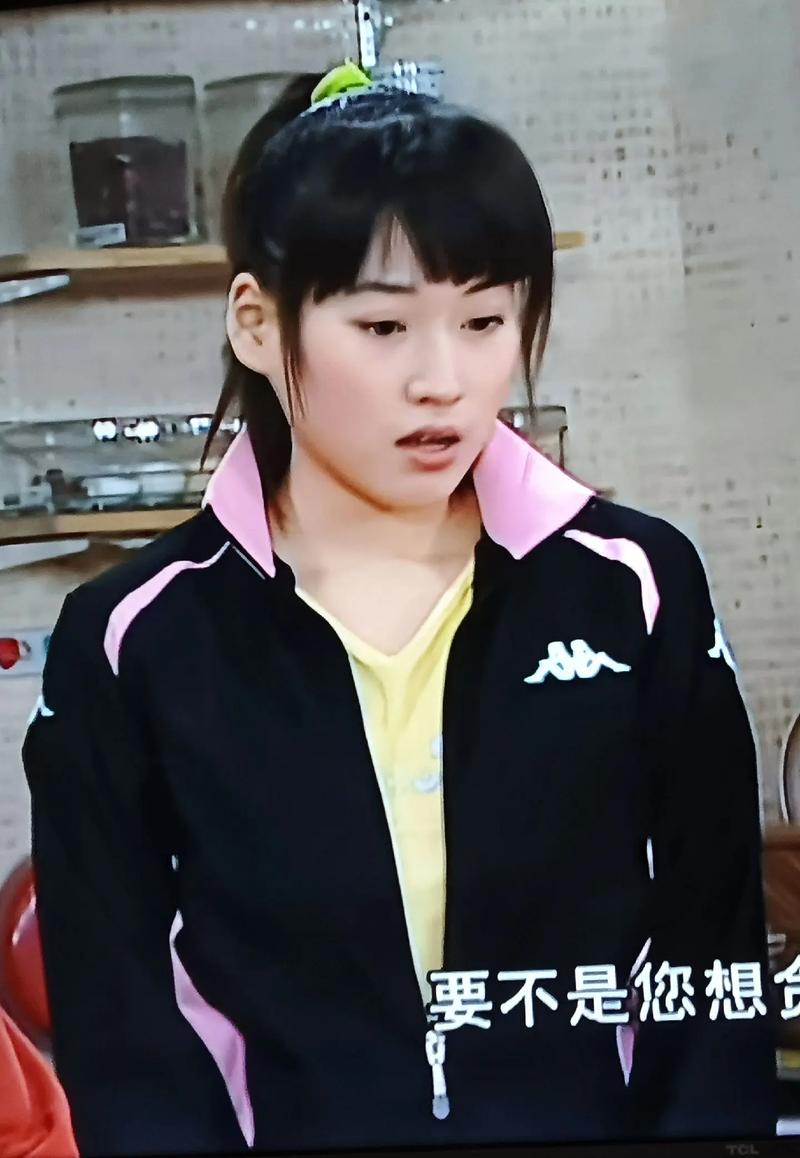 家有儿女2安卓汉化完结版下载,满满童年回忆!