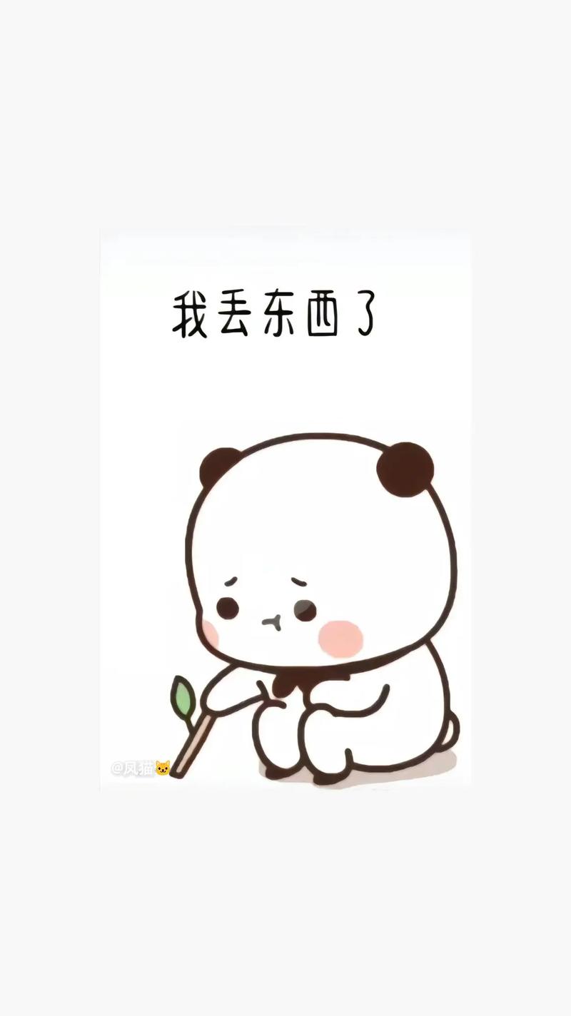 我的东西丢了,遗失更新地址能帮我找回吗?