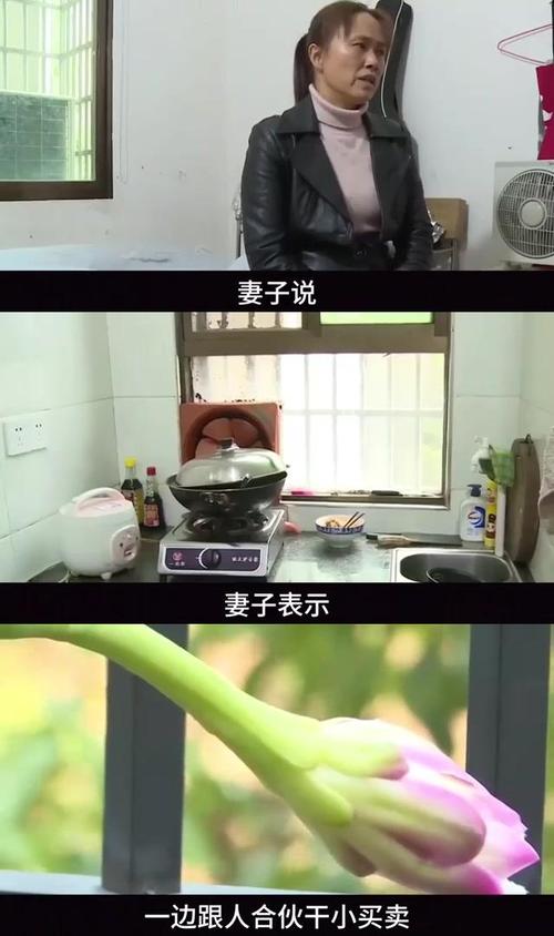 妻子的困境游戏下载安装攻略：新手玩家必看