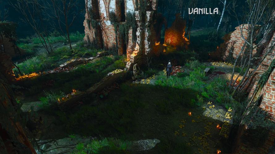 巫师3狂猎魔改版最新体验：神仙MOD推荐