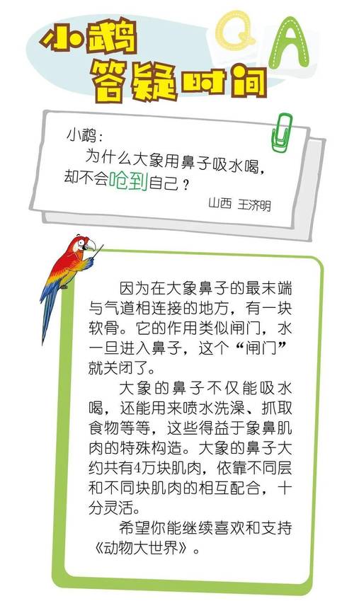 人杏之间官方网站客服：解决您的疑问与问题