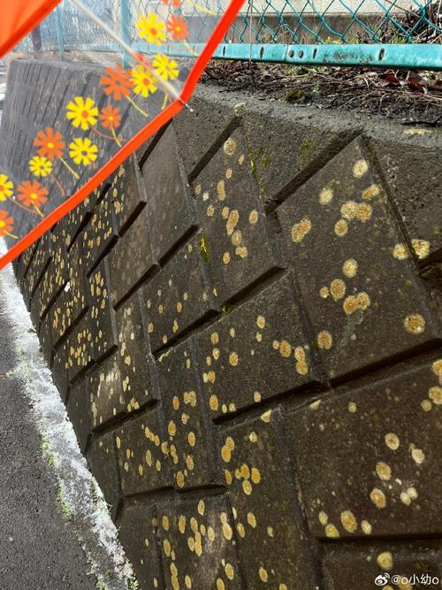 想下载雨季官方正式版最新版？这里有！