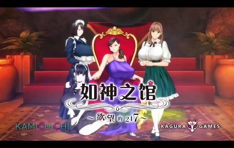 探索欲望之影：绅士游戏玩家必看体验分享与攻略