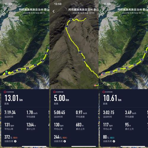 如何安全下载真三国无双绅士版？避坑指南分享