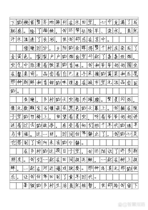 乡村生活快乐暑假：杨过游戏带你体验不一样的夏天