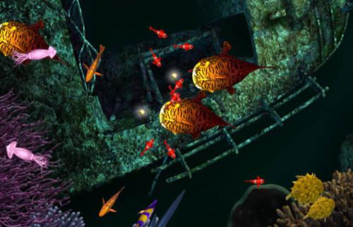 菜鸟守卫与女王陛下官方网站：下载游戏及最新资讯