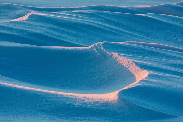 沙漠潜行者V0.17游戏官网入口:一键直达,畅玩沙漠冒险