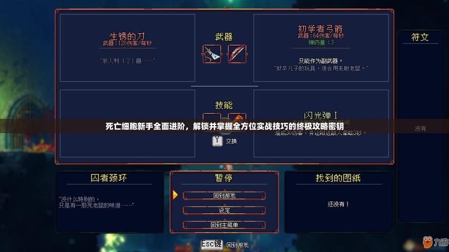 体验爱欲之都绅士游戏：新手入门教程与进阶技巧