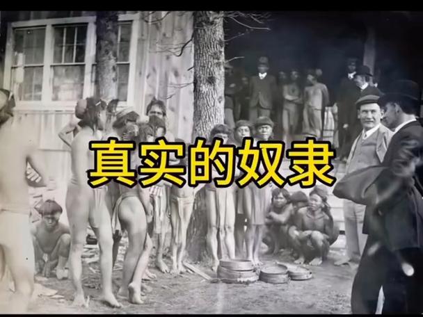 还在找奴隶训练更新地址?这里有你需要的最新信息