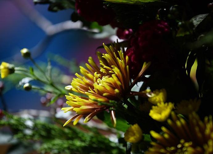 寻找优艳之花下载地址？教你快速找到安全资源