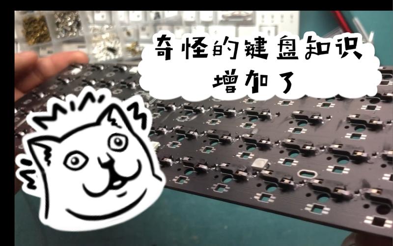 打工人张伟下载教程：避坑指南，教你轻松下载游戏！